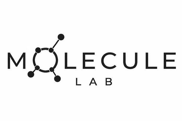 Molecule Lab